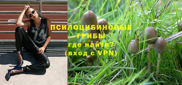твердый Алзамай