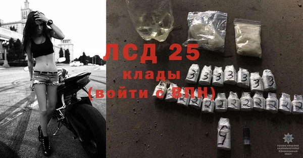 твердый Алзамай