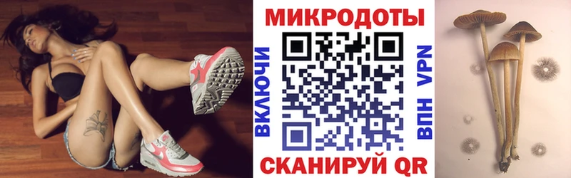 Галлюциногенные грибы мицелий  Берёзовский 